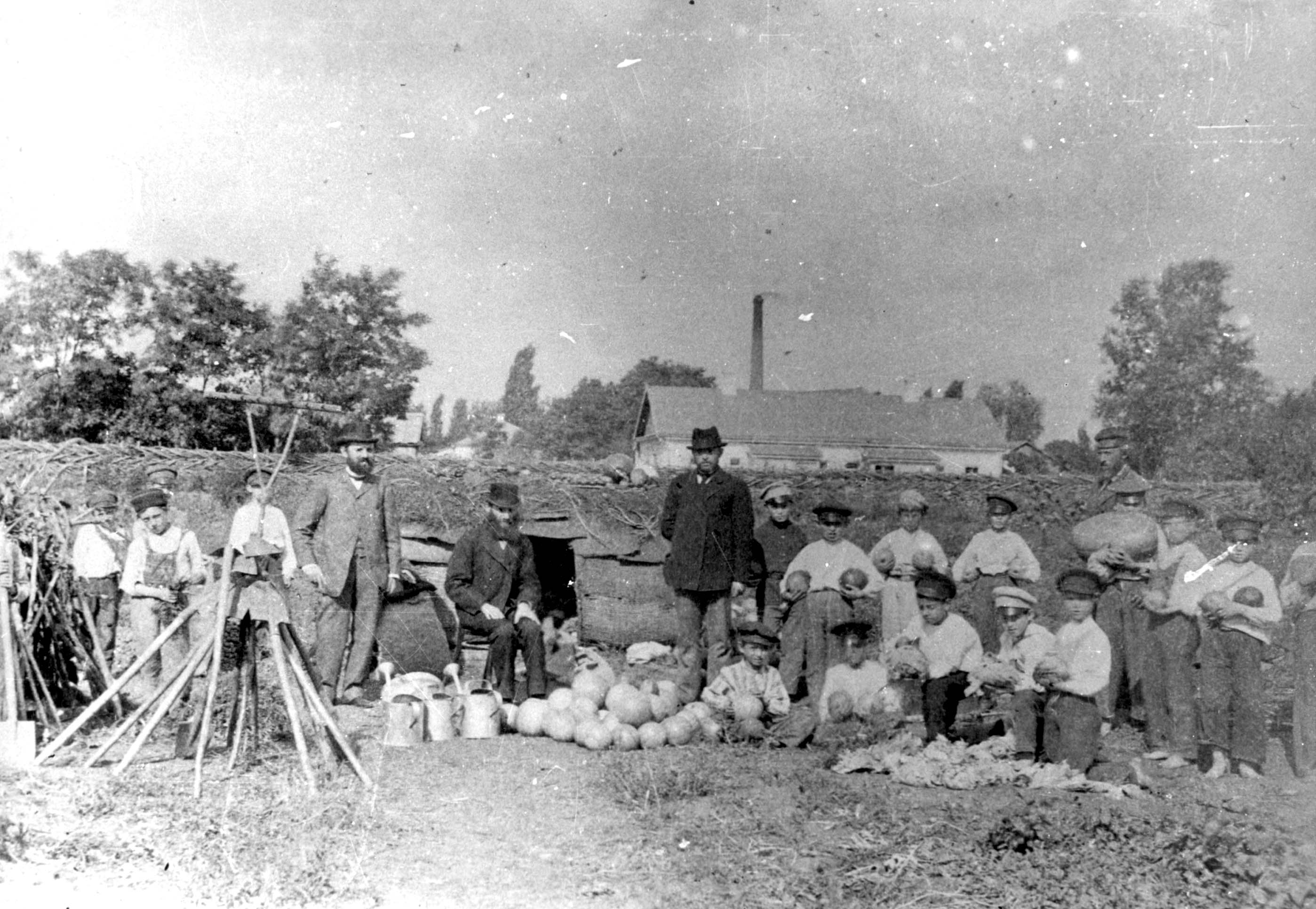Pupils of Jewish school in the school vegetable garden, Poltava, before 1917